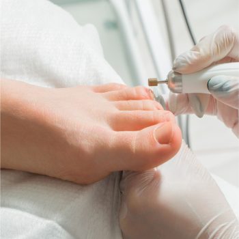 n133_white_short.jpg n133_white_short.jpg